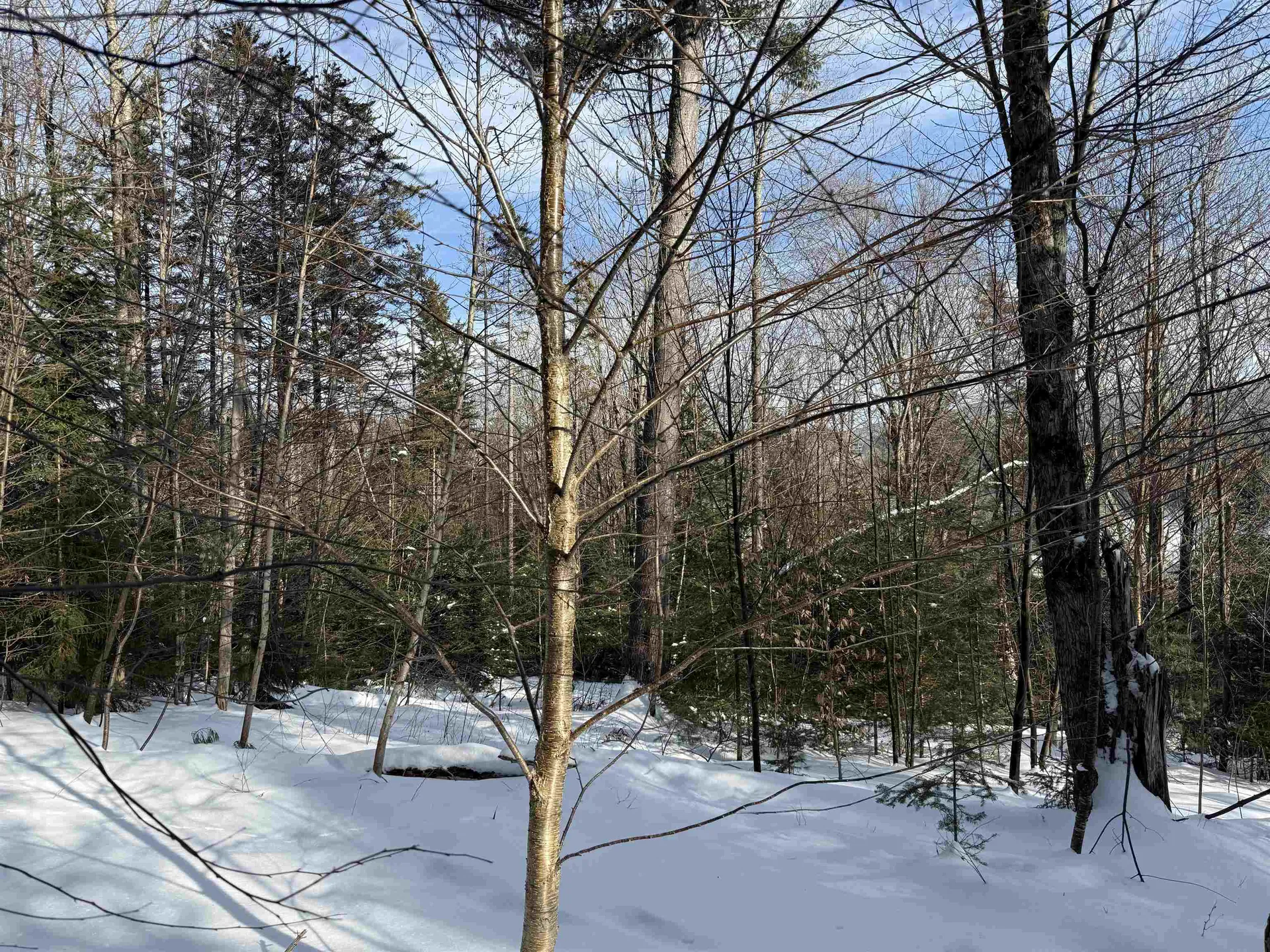 19 Stone Ridge Loop Dover VT 05356