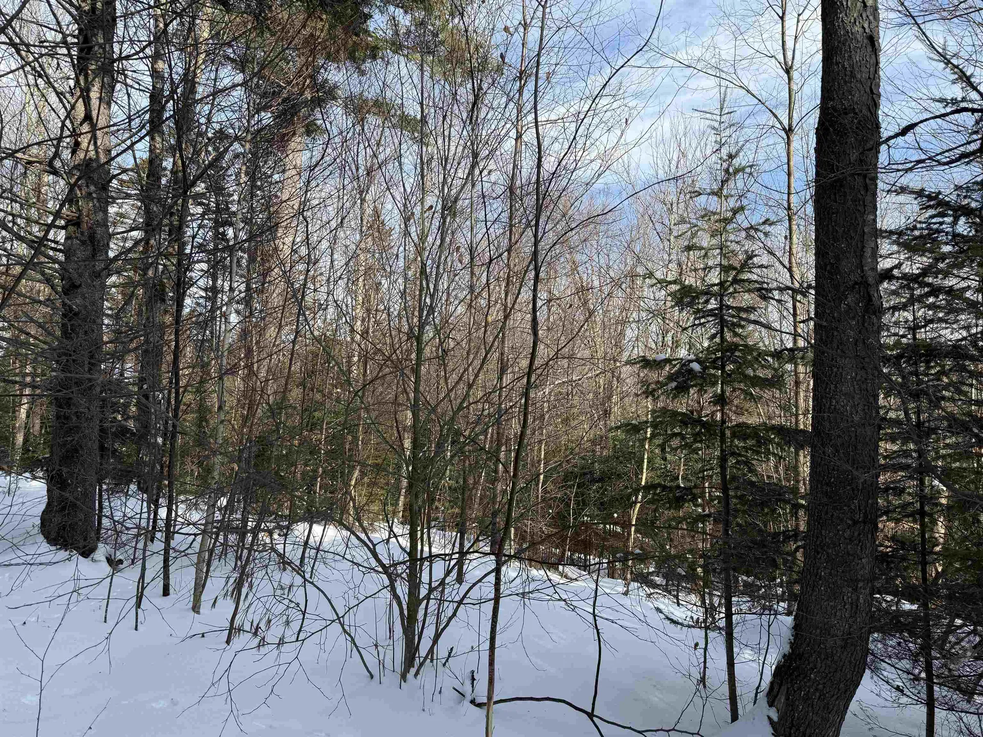 19 Stone Ridge Loop Dover VT 05356