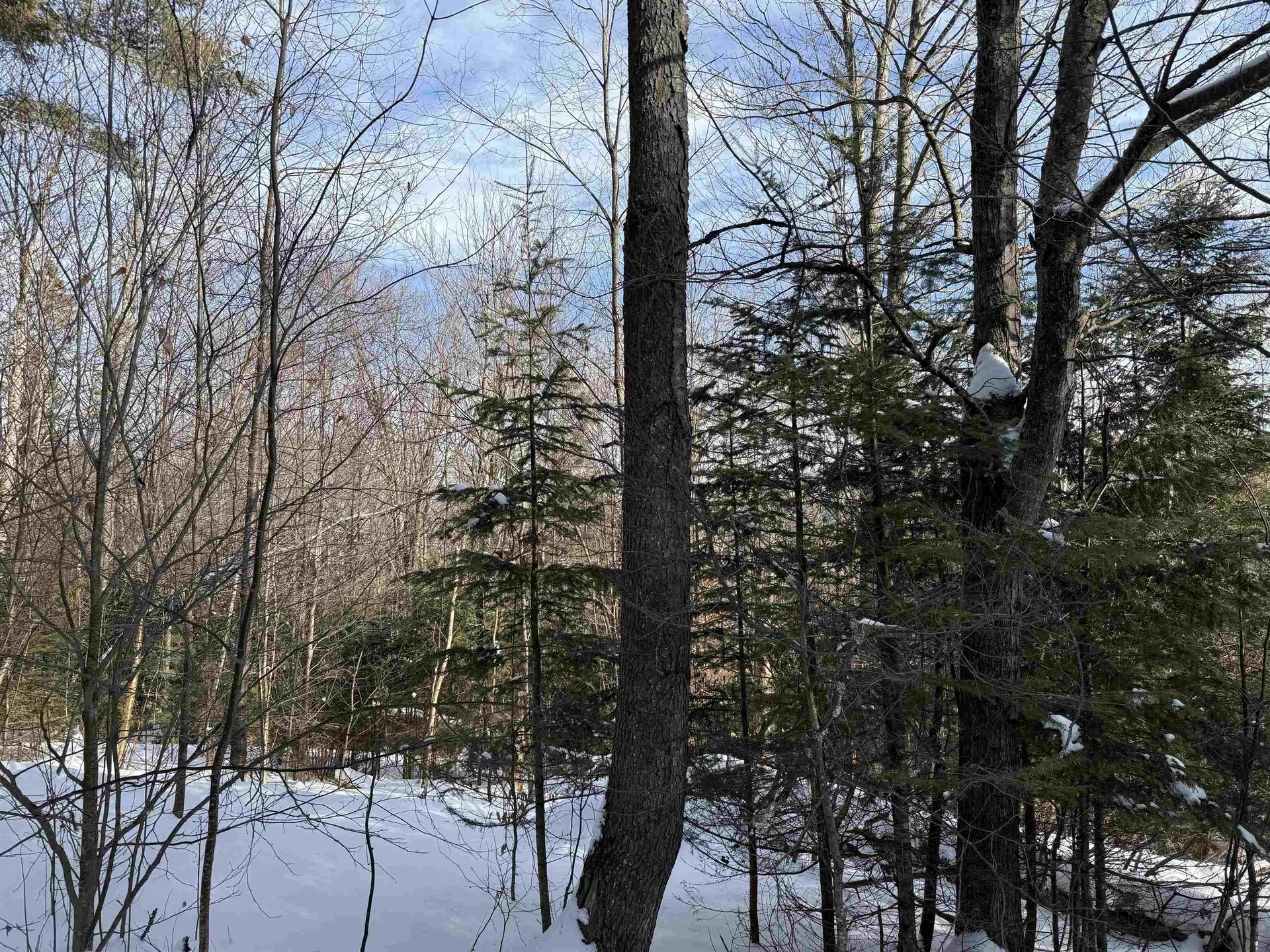19 Stone Ridge Loop Dover VT 05356