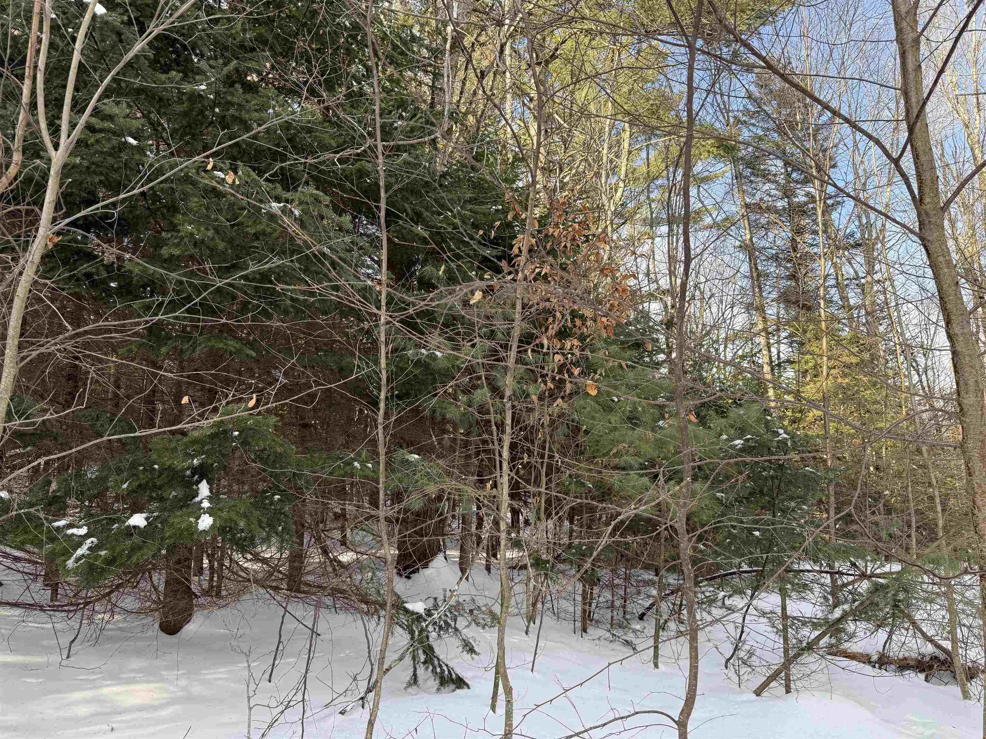 19 Stone Ridge Loop Dover VT 05356