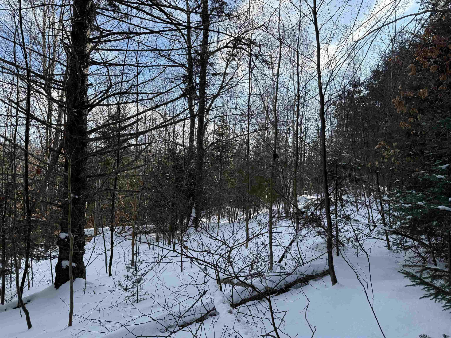 19 Stone Ridge Loop Dover VT 05356
