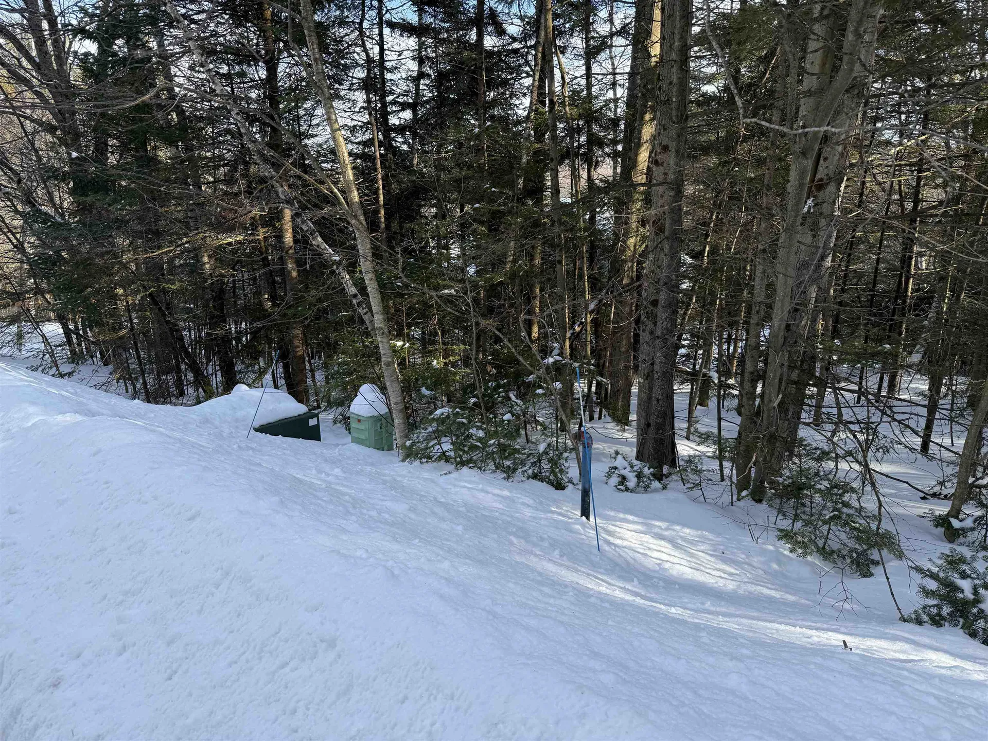 12 Stone Ridge Loop Dover VT 05356