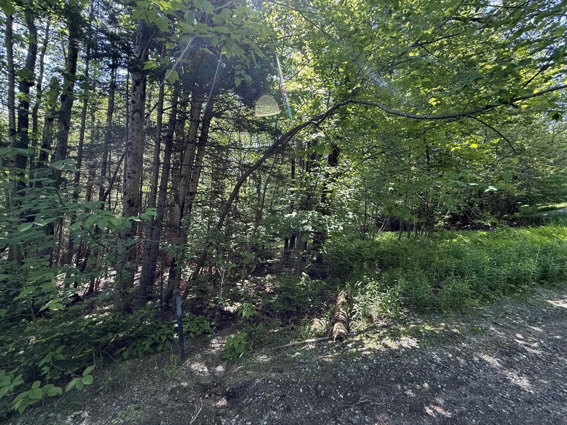 19 Stone Ridge Loop Dover VT 05356