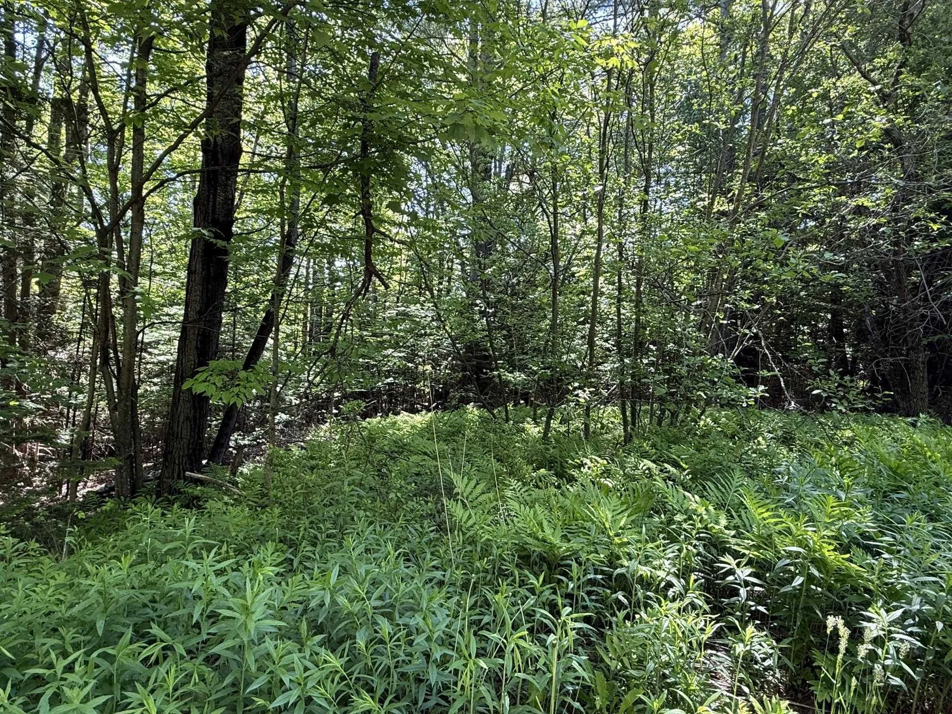 19 Stone Ridge Loop Dover VT 05356