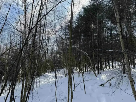 12 Stone Ridge Loop Dover VT 05356