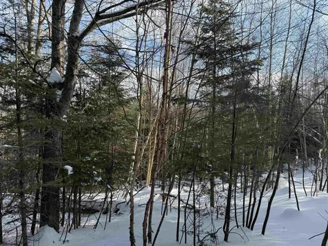 12 Stone Ridge Loop Dover VT 05356