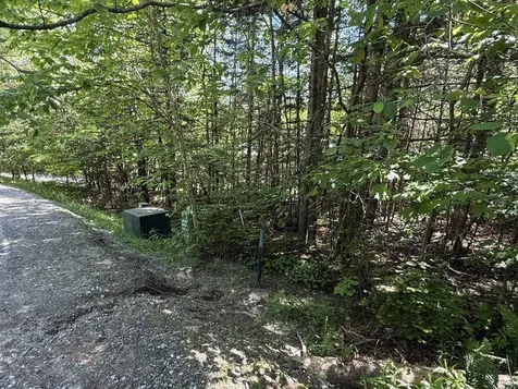 19 Stone Ridge Loop Dover VT 05356