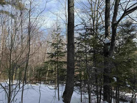 19 Stone Ridge Loop Dover VT 05356