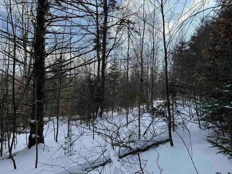 19 Stone Ridge Loop Dover VT 05356