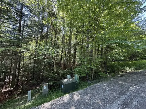 19 Stone Ridge Loop Dover VT 05356