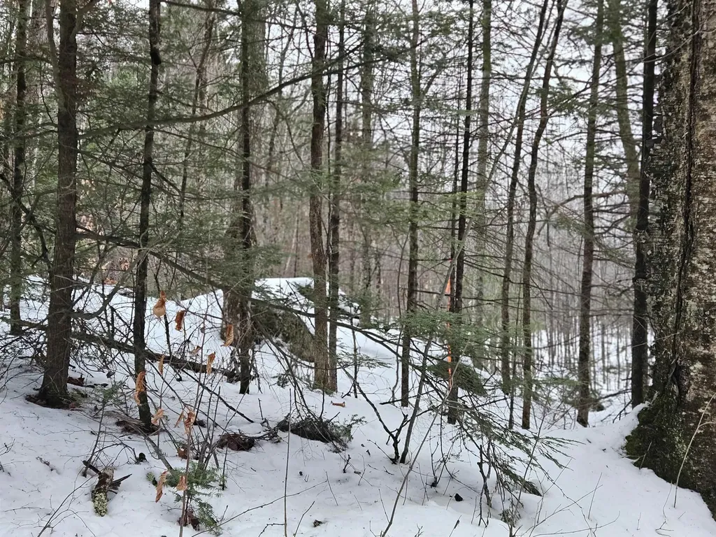 362 Rabbit Path Bath NH 03740