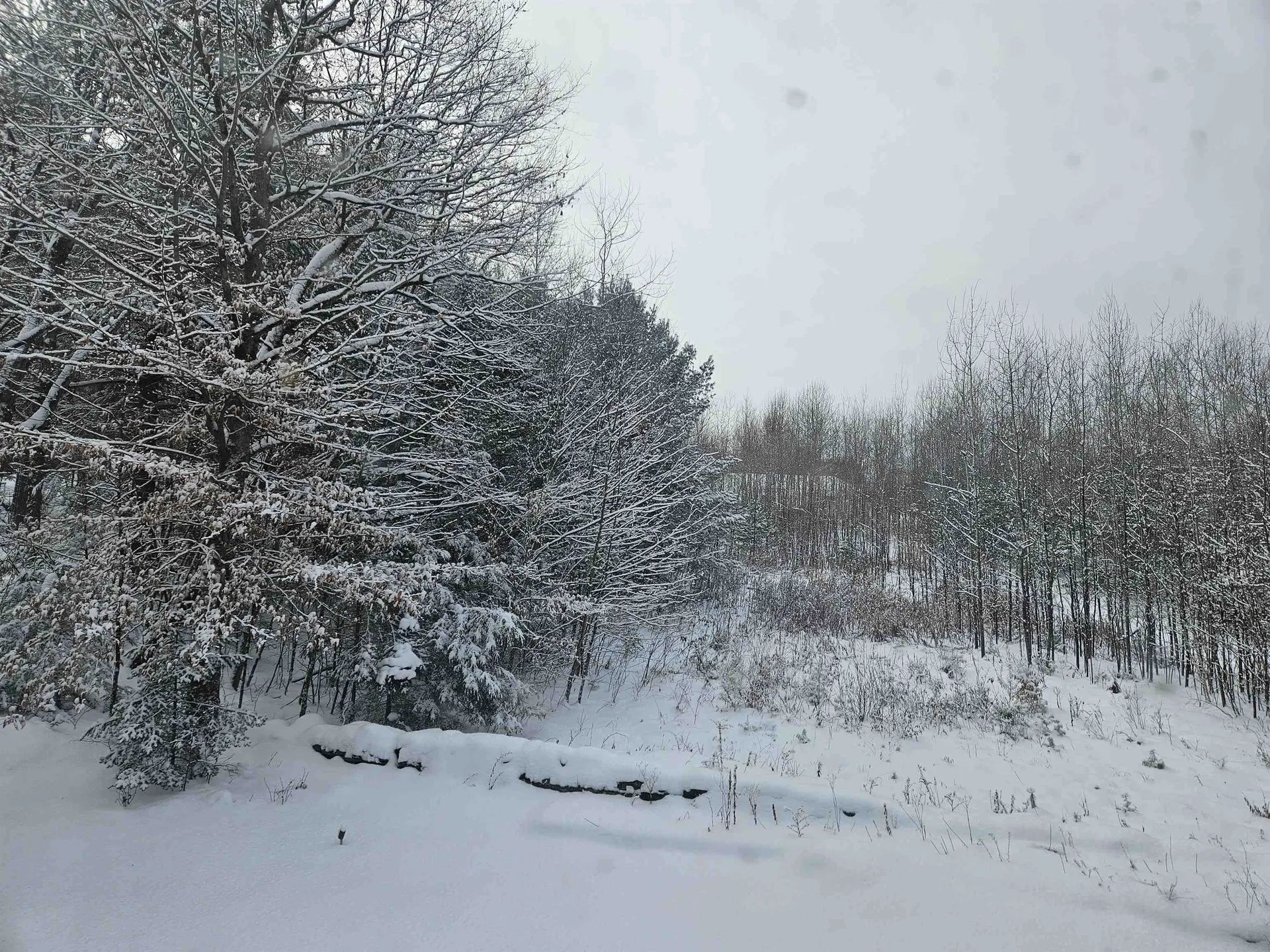 362 Rabbit Path Bath NH 03740