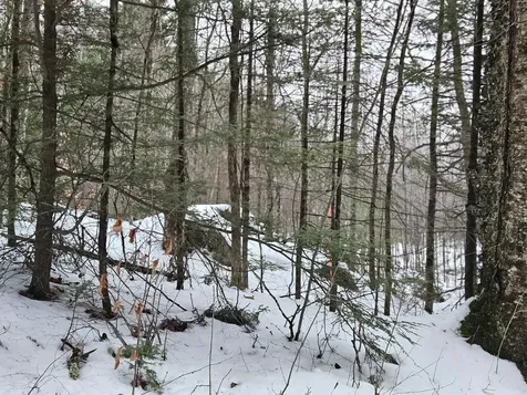 362 Rabbit Path Bath NH 03740