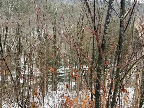 1153 Rockingham Road Rockingham VT 05101