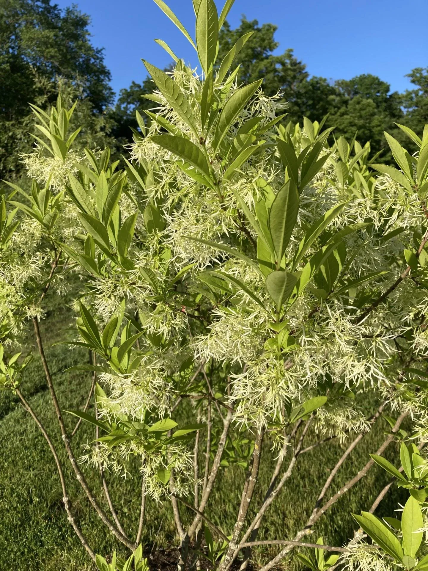 101 Wentworth Road Walpole NH 03608