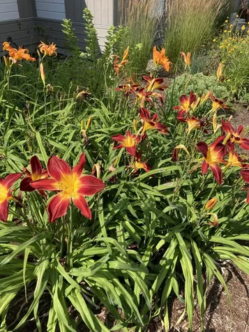 101 Wentworth Road Walpole NH 03608