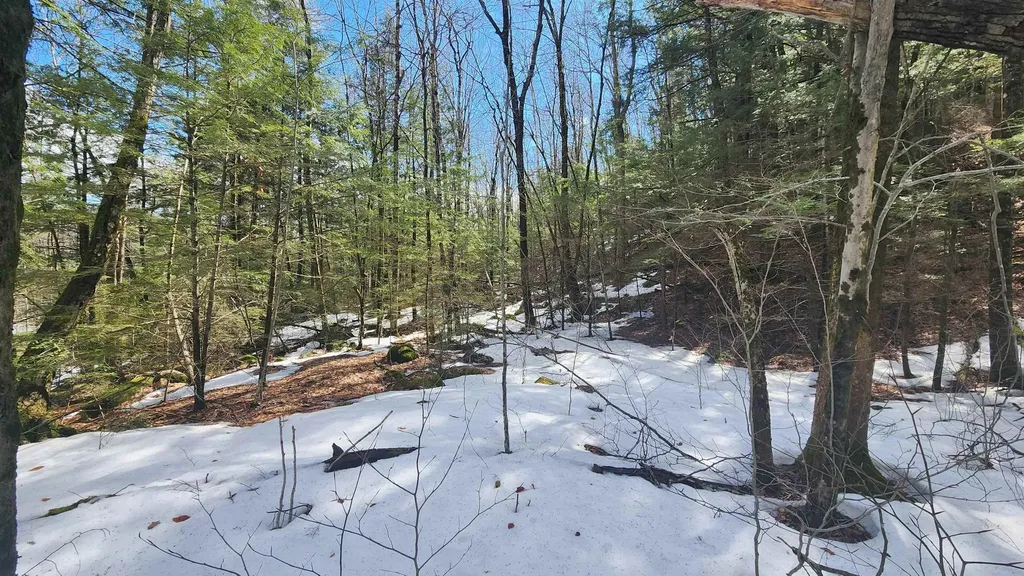231 Valley Road New Durham NH 03855