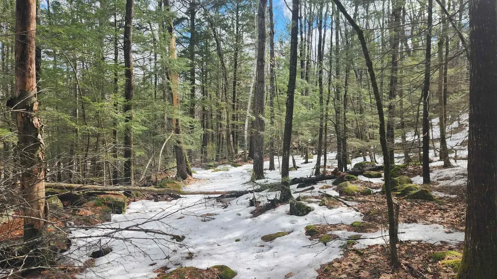 231 Valley Road New Durham NH 03855