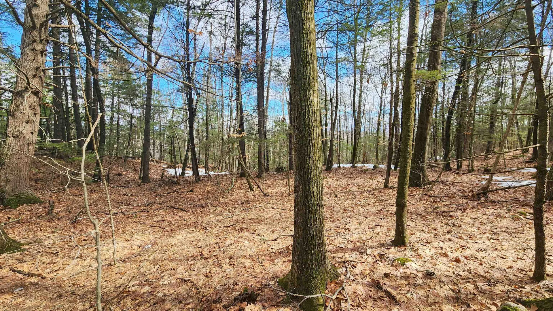 231 Valley Road New Durham NH 03855