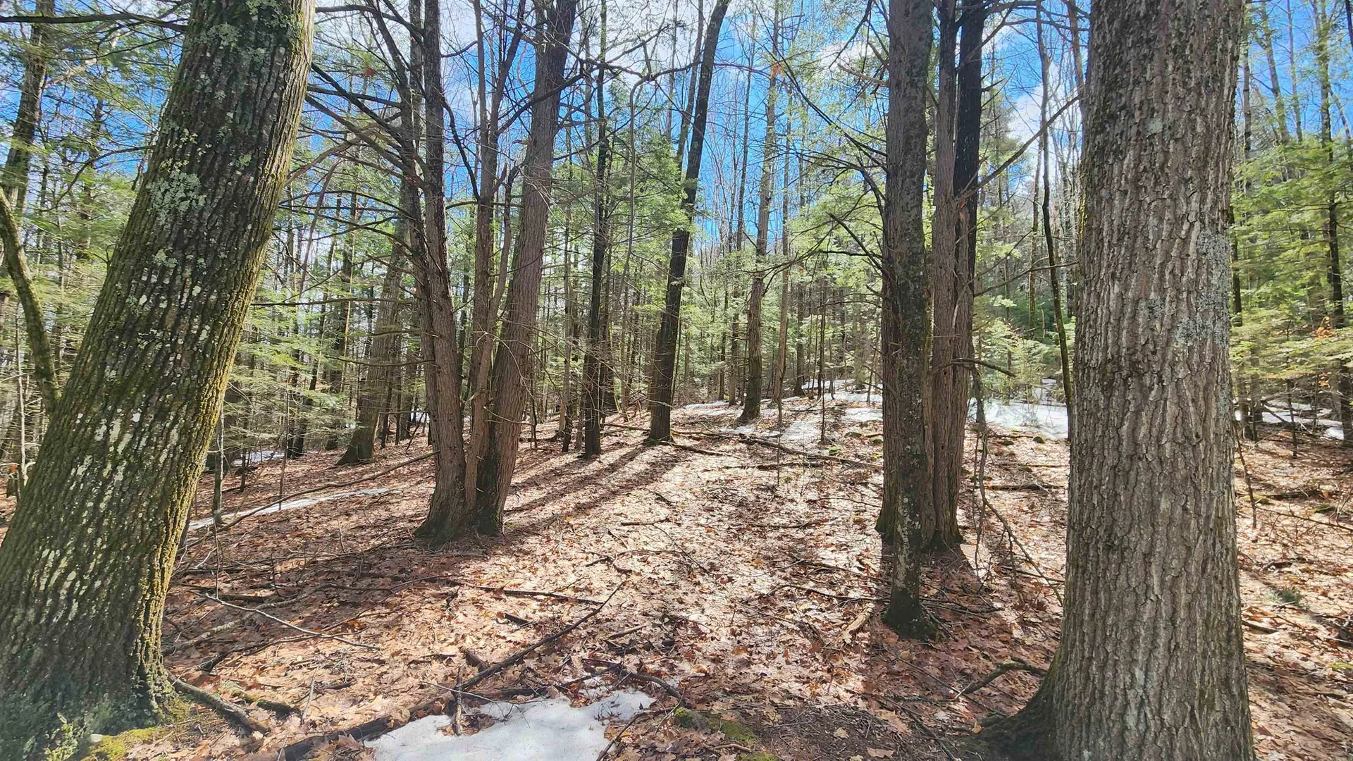 231 Valley Road New Durham NH 03855