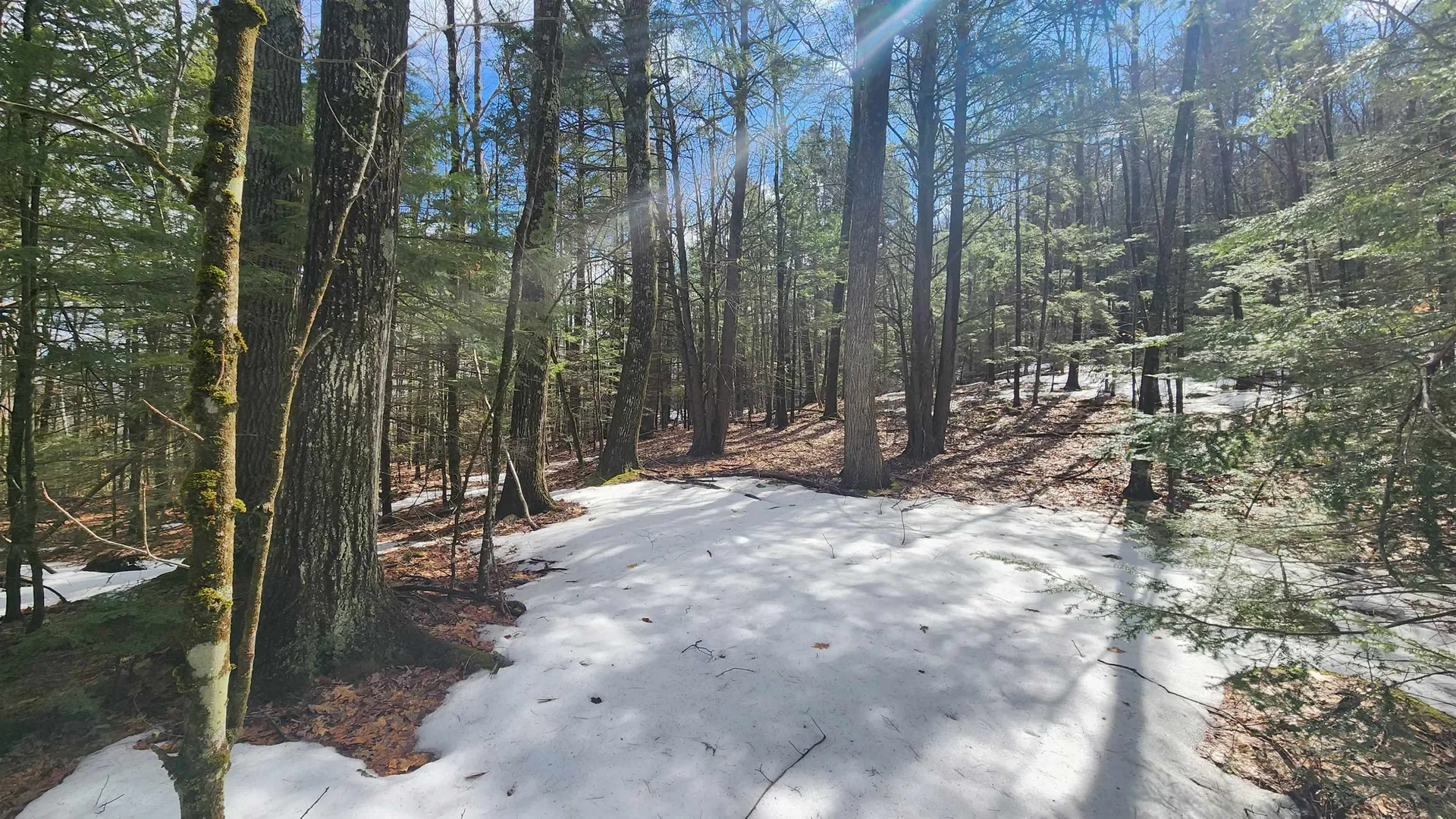 231 Valley Road New Durham NH 03855