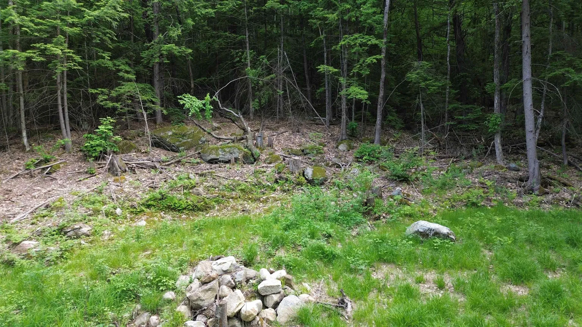 231 Valley Road New Durham NH 03855