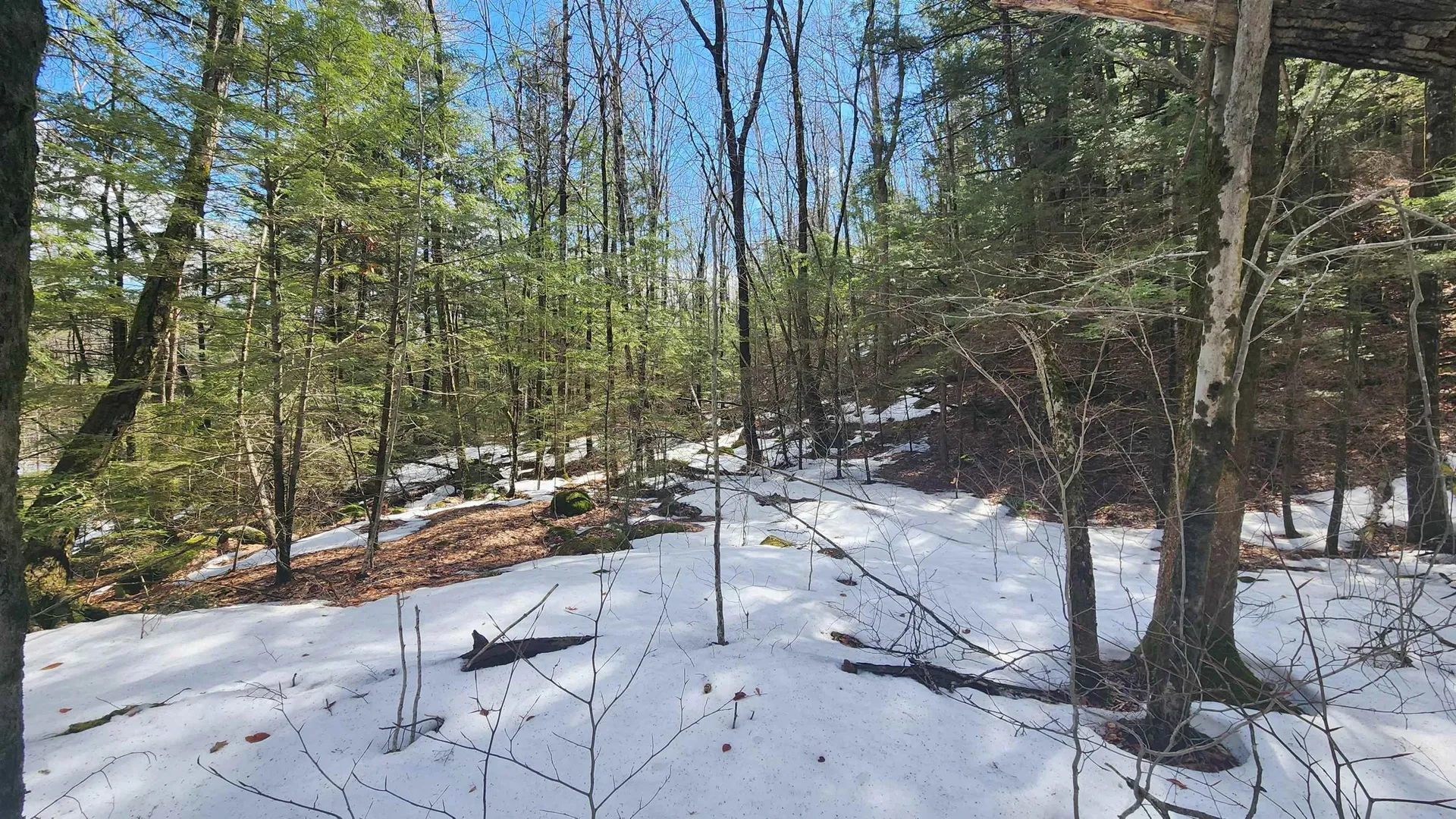 231 Valley Road New Durham NH 03855