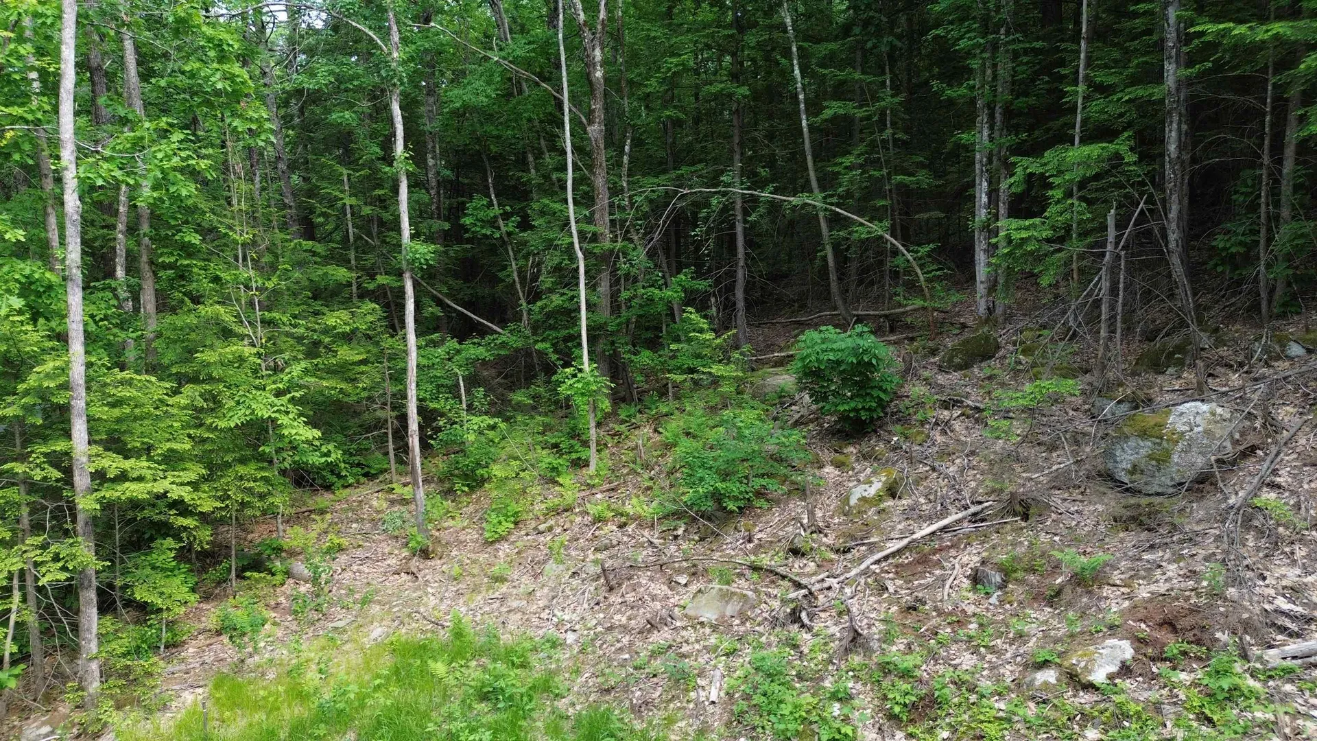 231 Valley Road New Durham NH 03855
