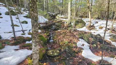 231 Valley Road New Durham NH 03855