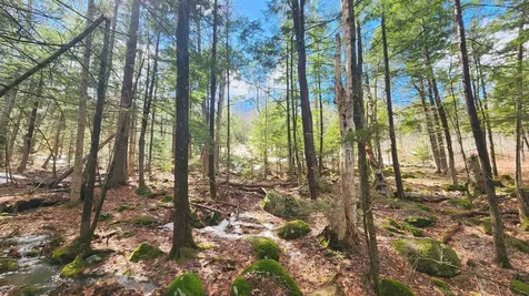 231 Valley Road New Durham NH 03855