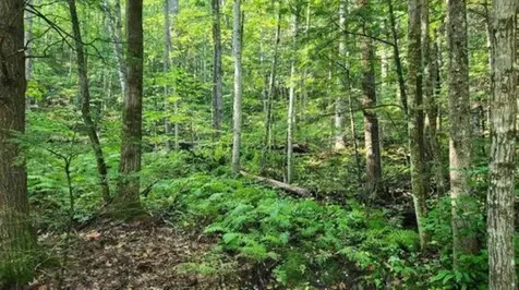 231 Valley Road New Durham NH 03855