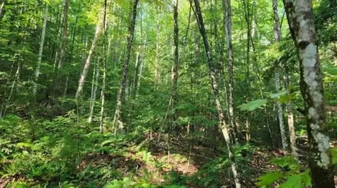 231 Valley Road New Durham NH 03855