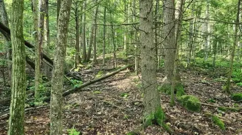 231 Valley Road New Durham NH 03855