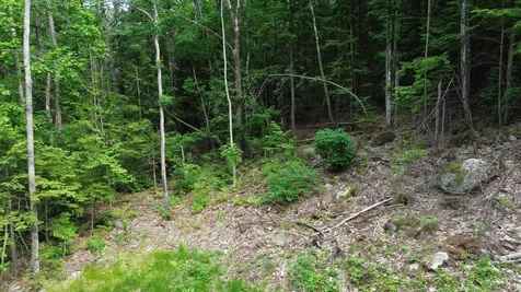 231 Valley Road New Durham NH 03855