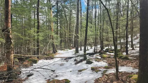 231 Valley Road New Durham NH 03855