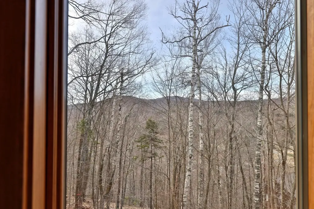 78 Coopers Trace Plymouth VT 05056