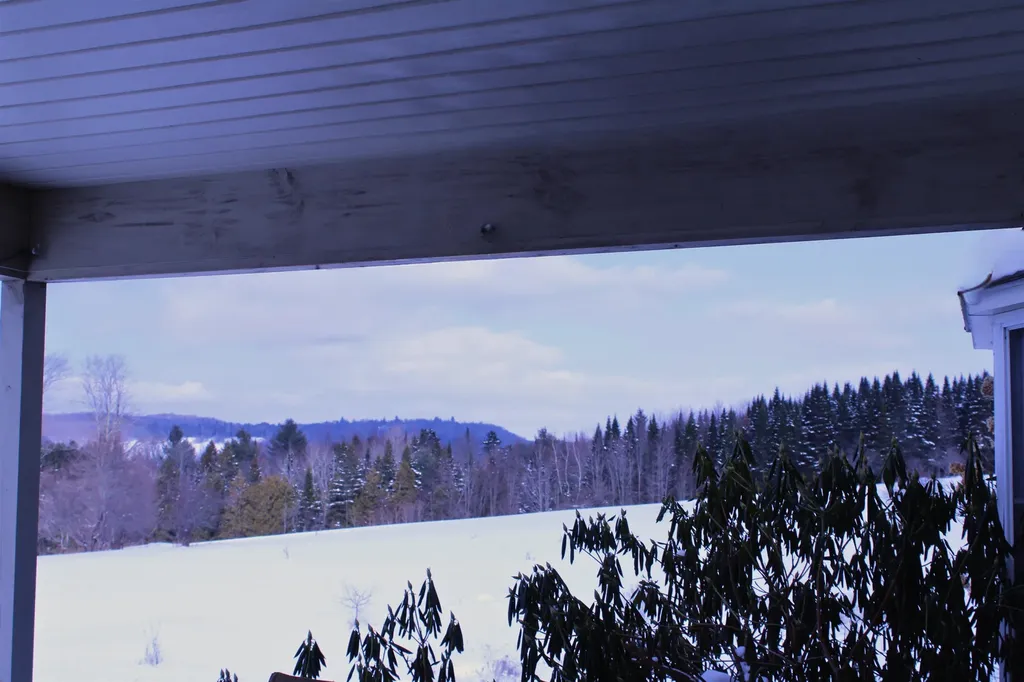 3614 Creek Road Albany VT 05820