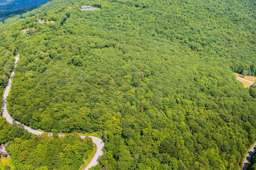 4.1 Pearl Buck Drive Winhall VT 05340