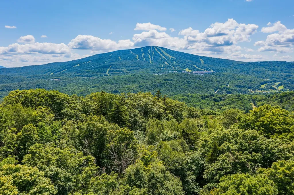 4.1 Pearl Buck Drive Winhall VT 05340