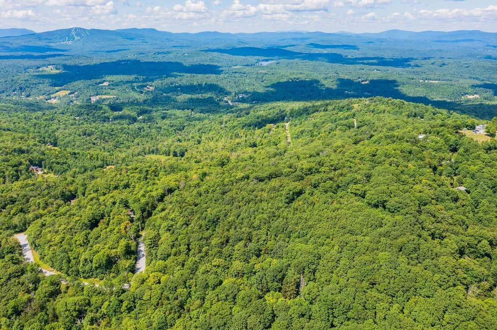 4.1 Pearl Buck Drive Winhall VT 05340