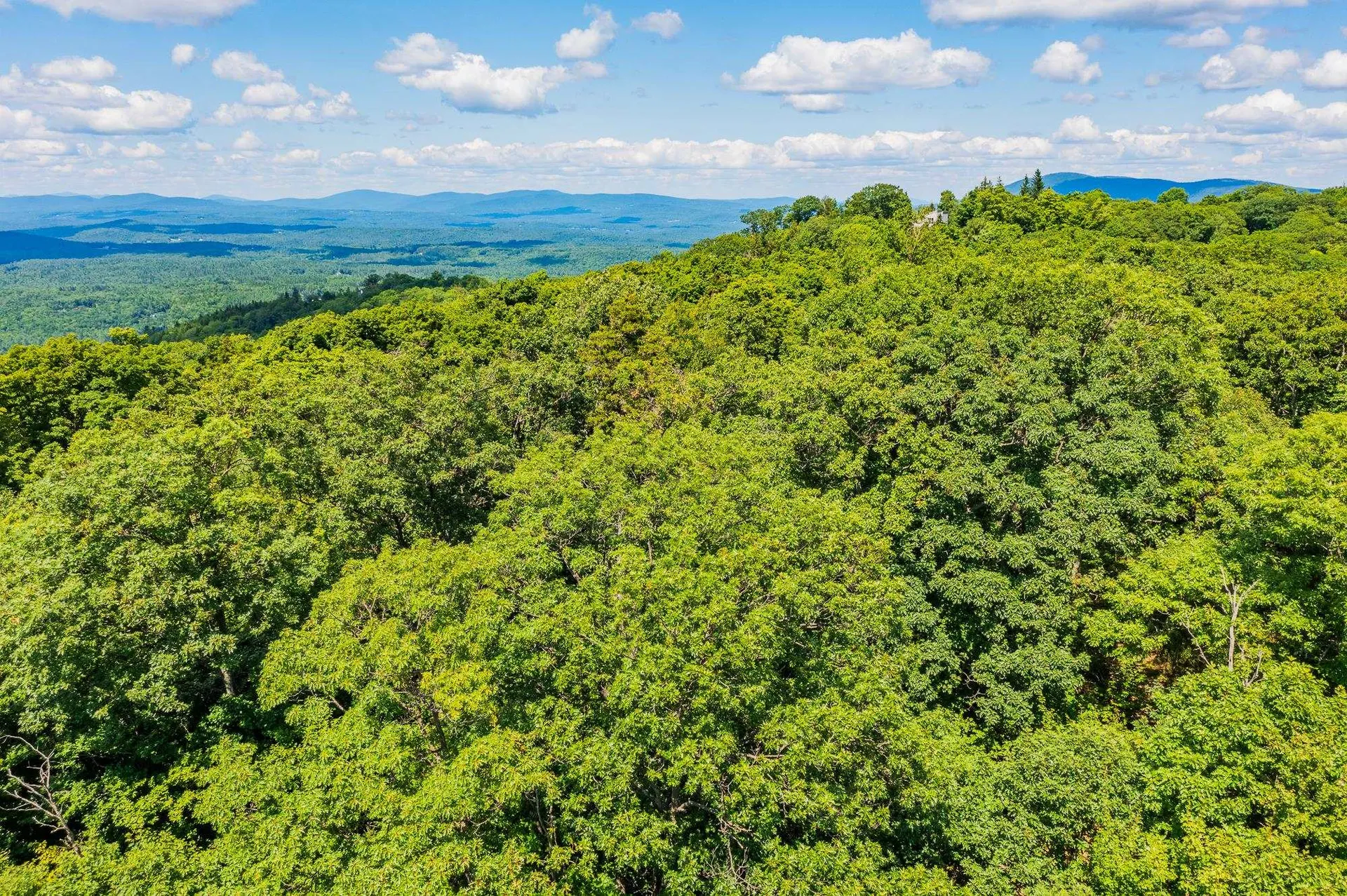 4.1 Pearl Buck Drive Winhall VT 05340