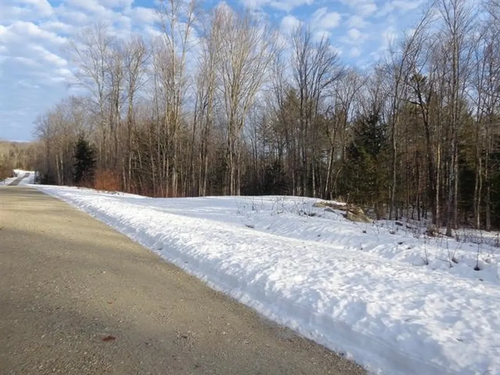 30 Phelps Lane Danbury NH 03230