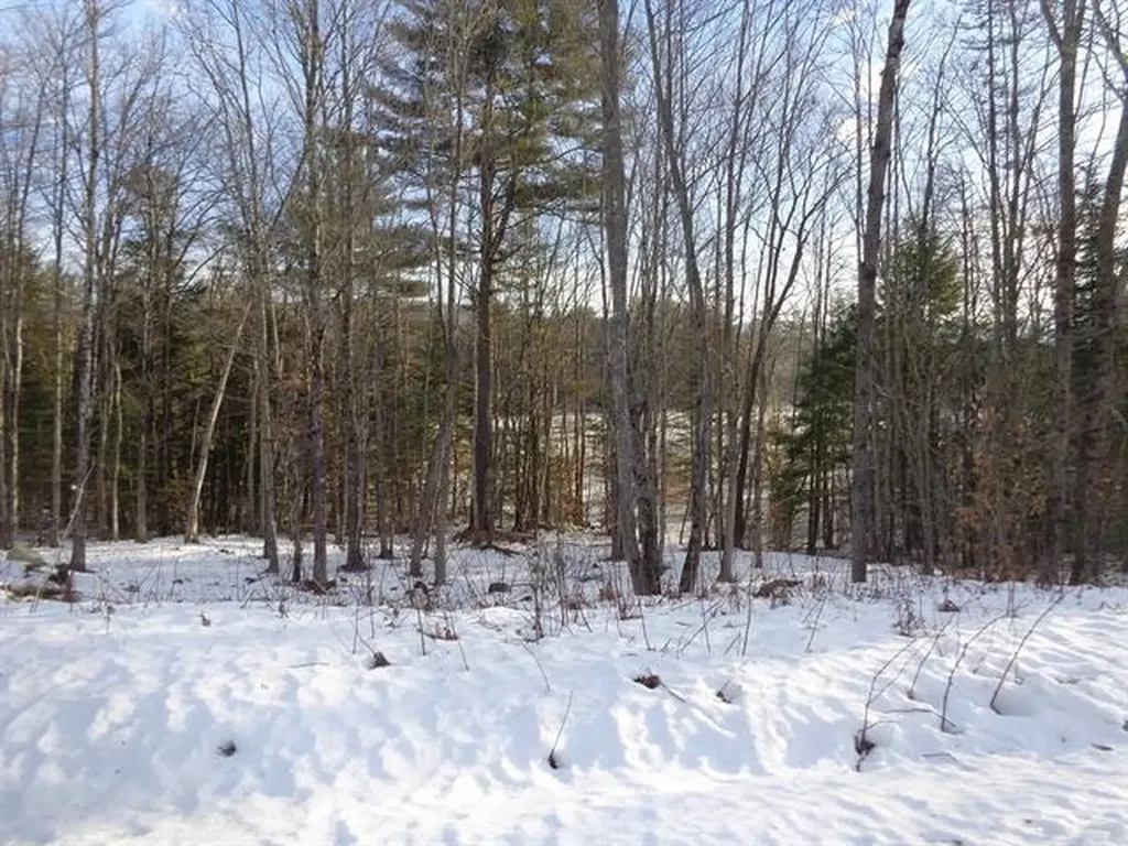 30 Phelps Lane Danbury NH 03230