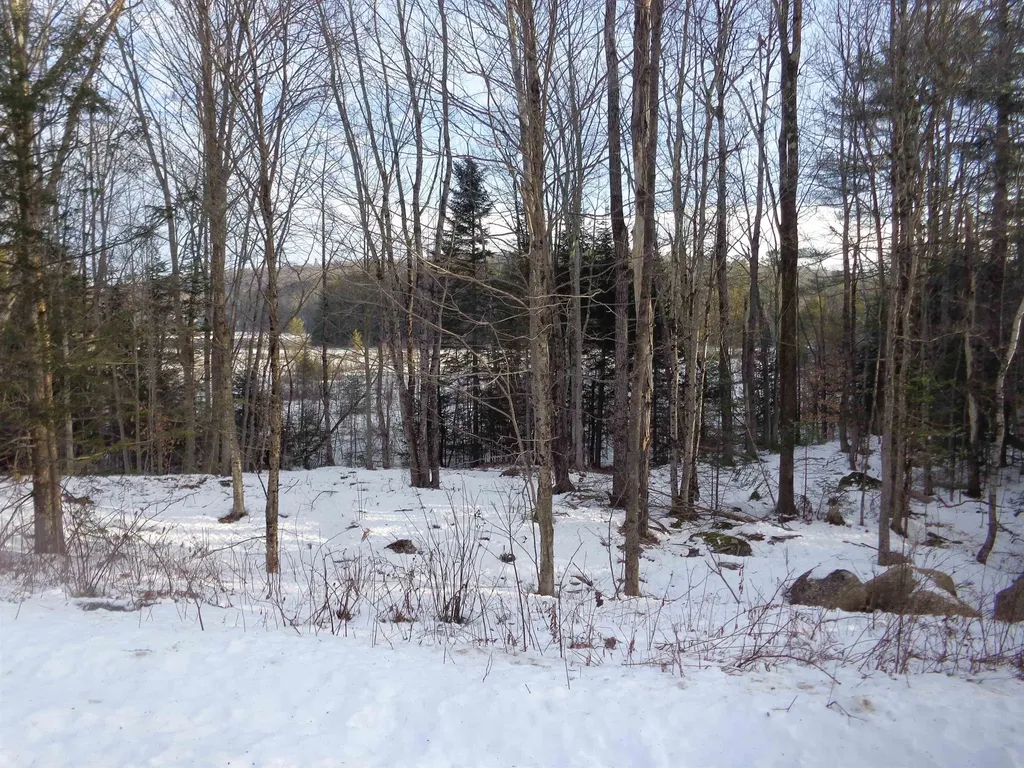 30 Phelps Lane Danbury NH 03230