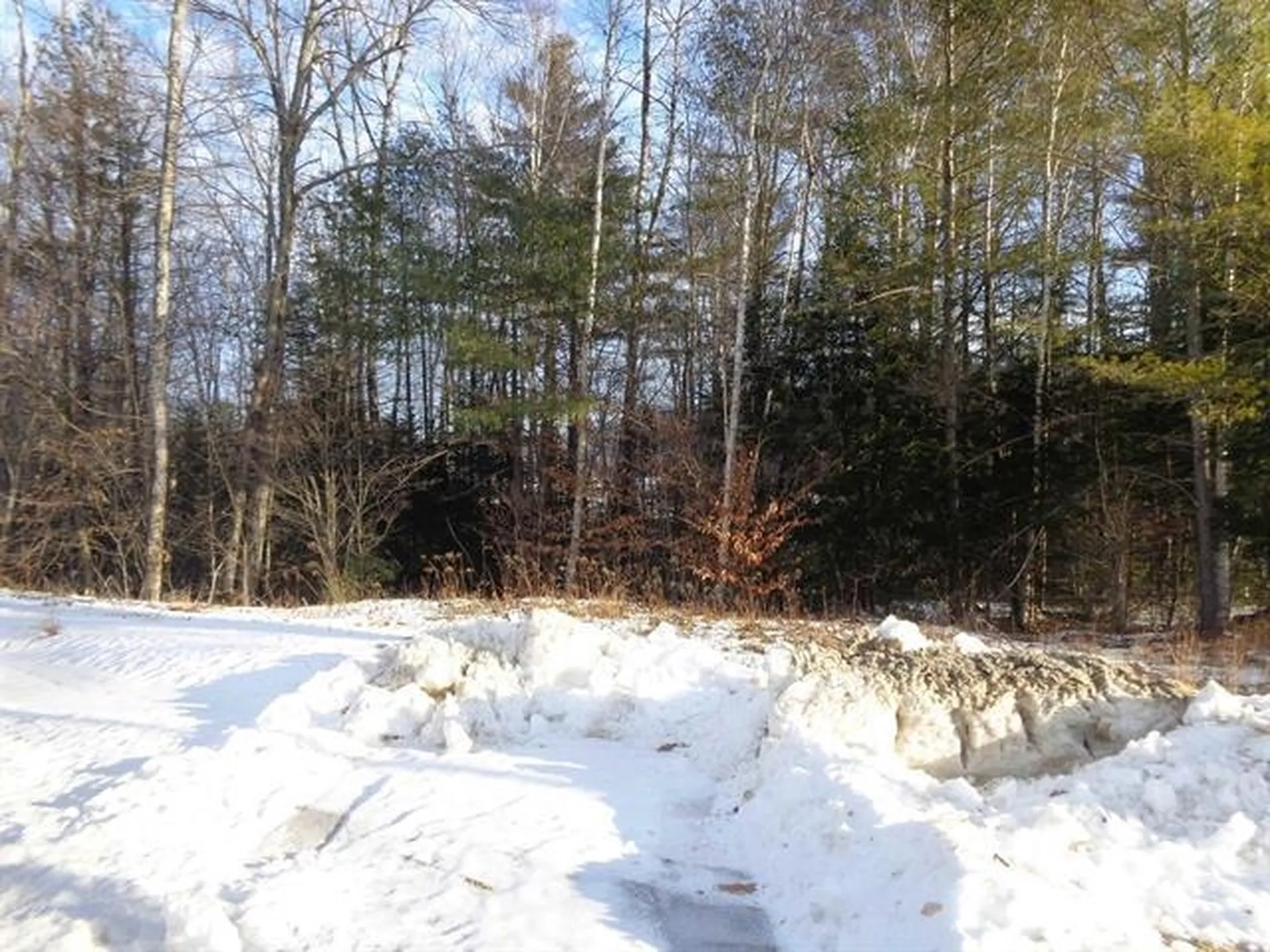 30 Phelps Lane Danbury NH 03230