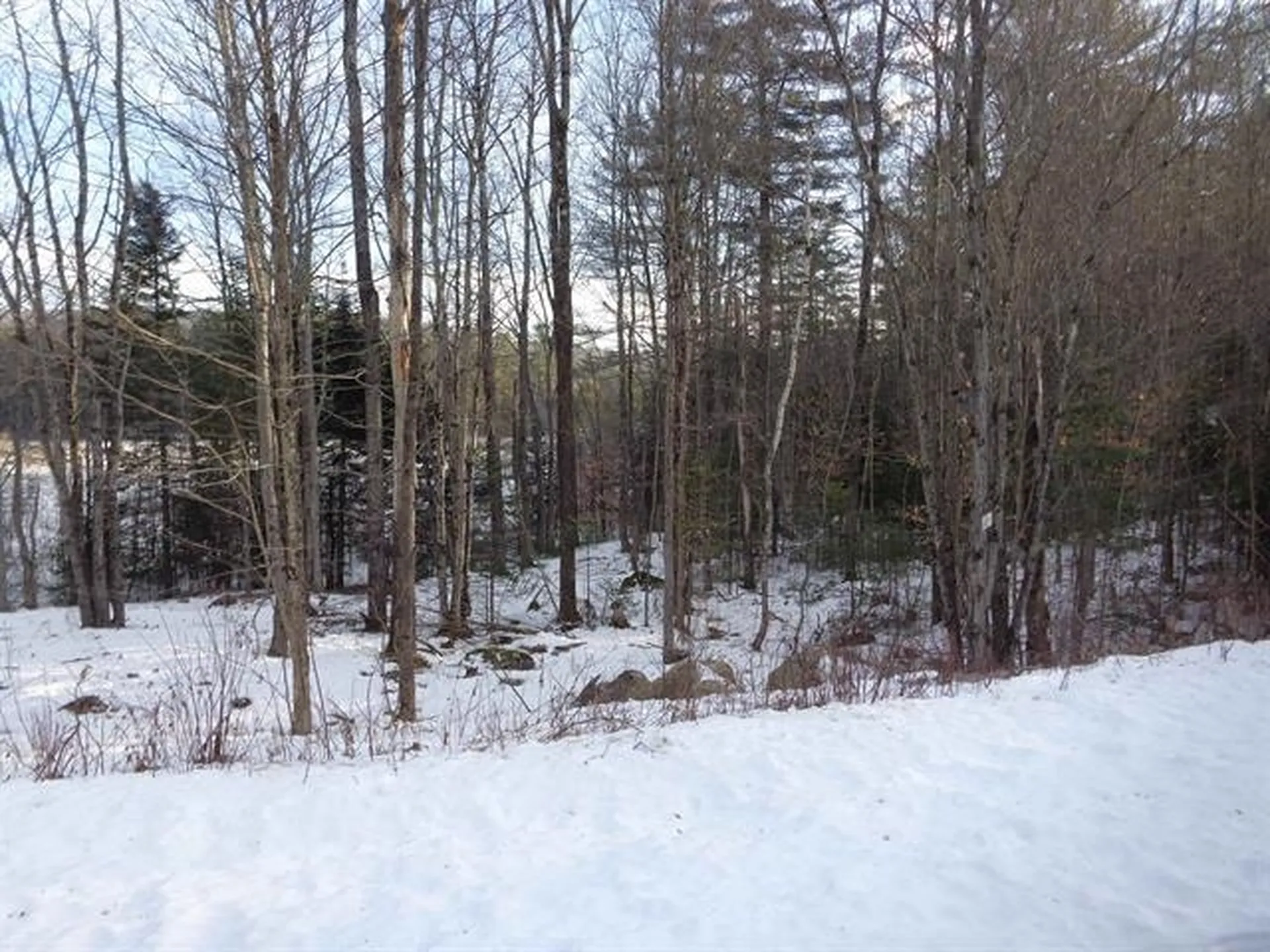 30 Phelps Lane Danbury NH 03230