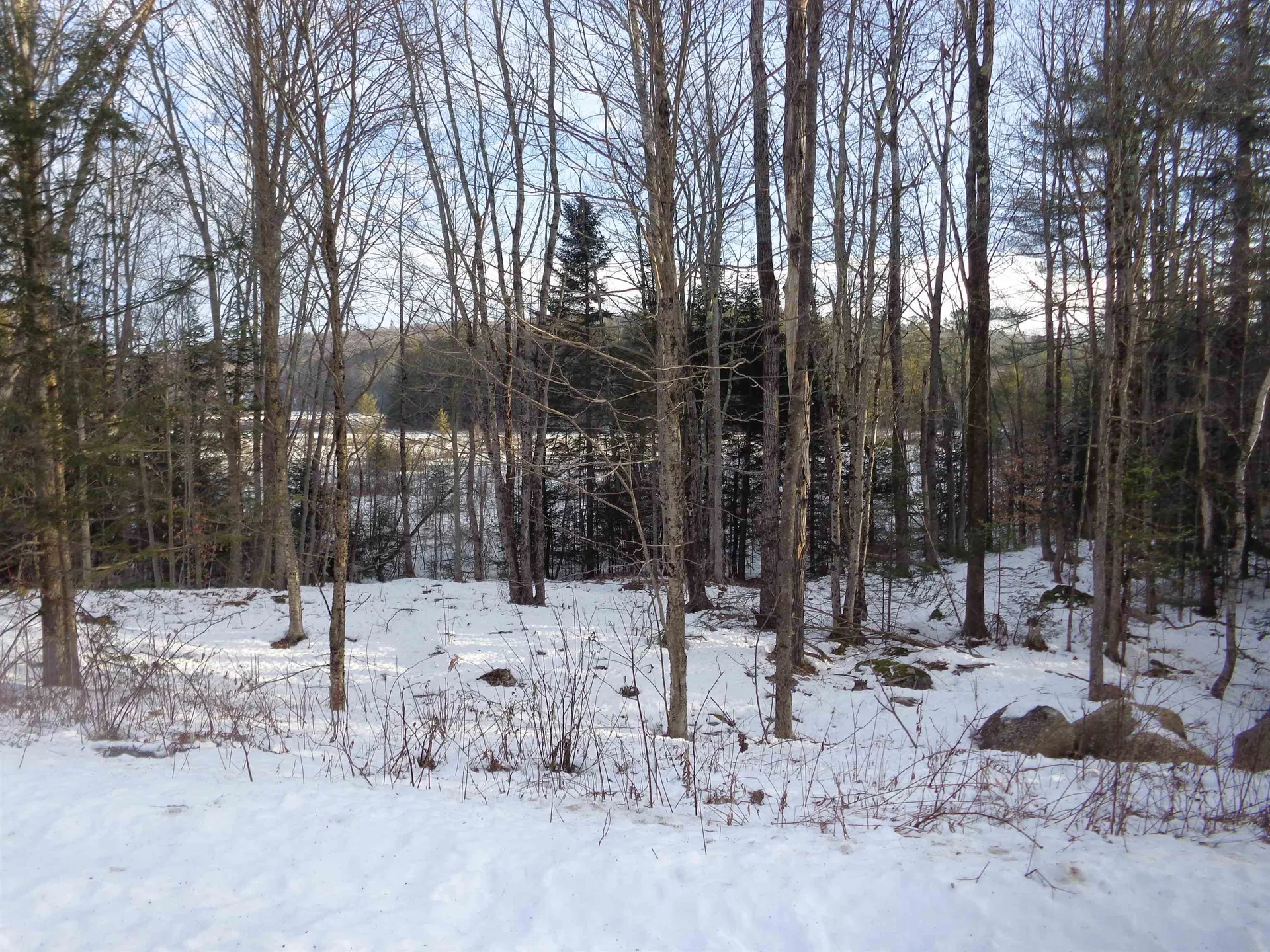 30 Phelps Lane Danbury NH 03230