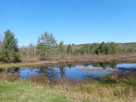 30 Phelps Lane Danbury NH 03230