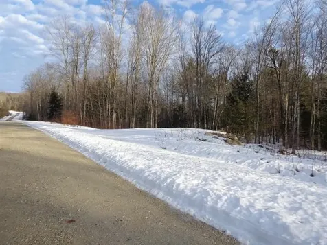 30 Phelps Lane Danbury NH 03230