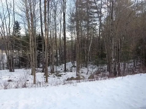 30 Phelps Lane Danbury NH 03230